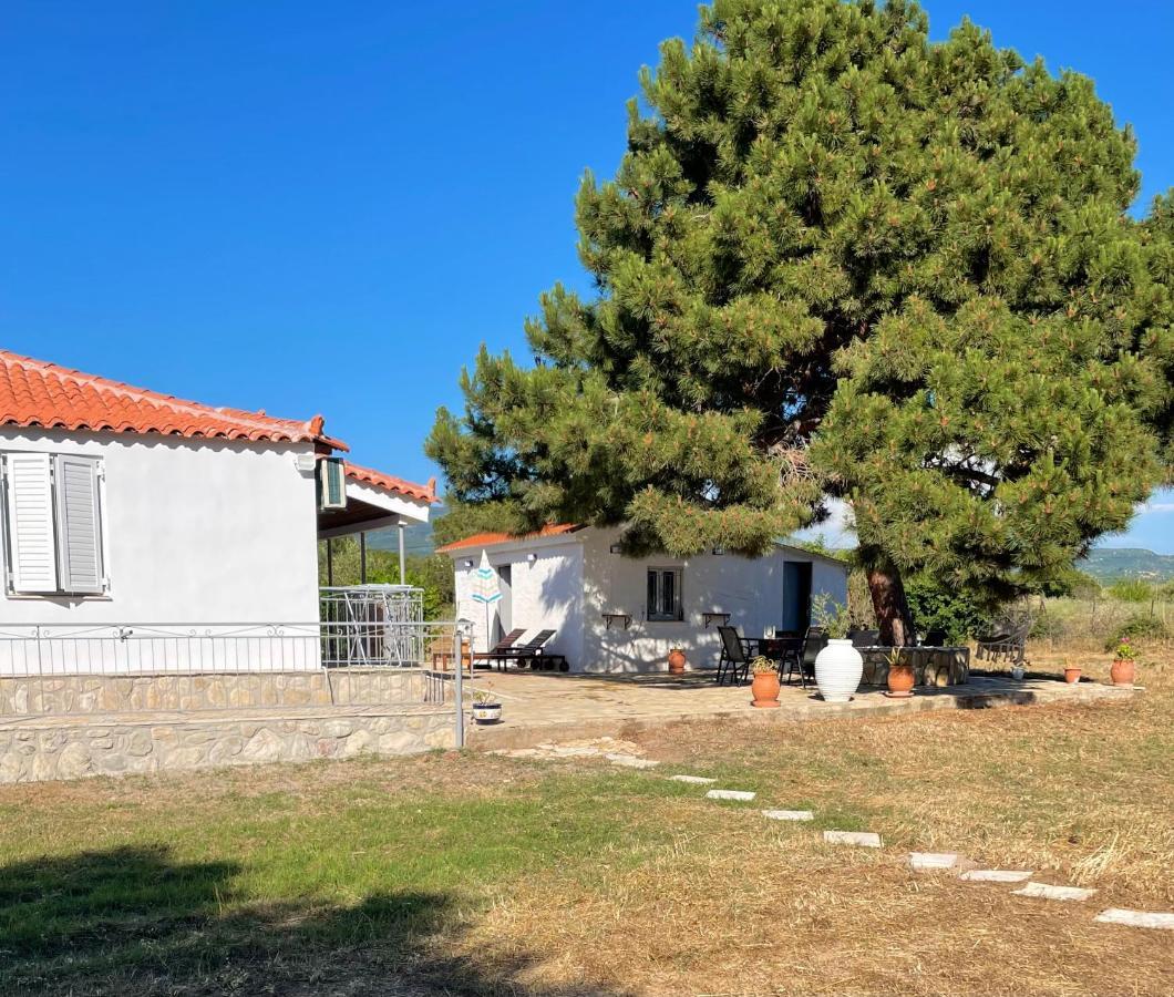 Seaside Retreat House Villa